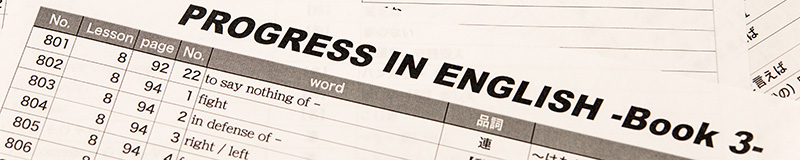 %e3%83%97%e3%83%ad%e3%82%b0%e3%83%ac%e3%82%b9%e5%8d%98%e8%aa%9e_800x160