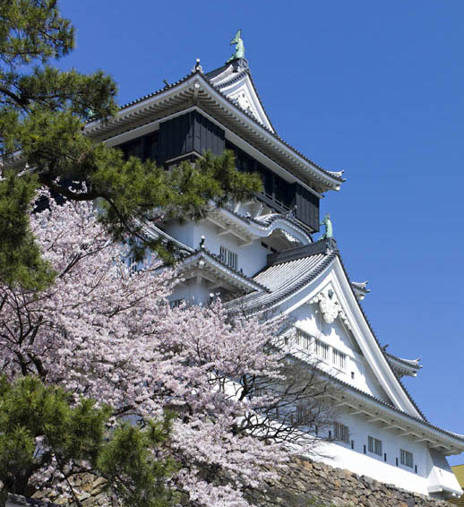 201104-08-61-c0028861_7361511