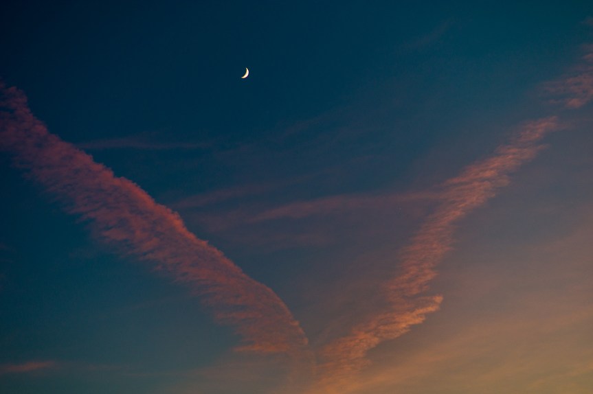 201708-26-61-c0028861_21121463